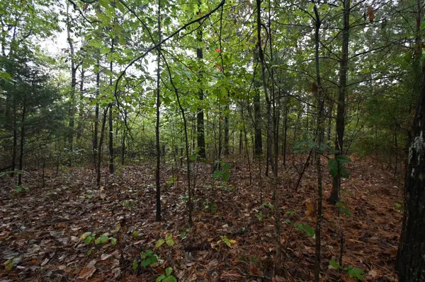 62 Hardison Ln, Linden, TN 37096