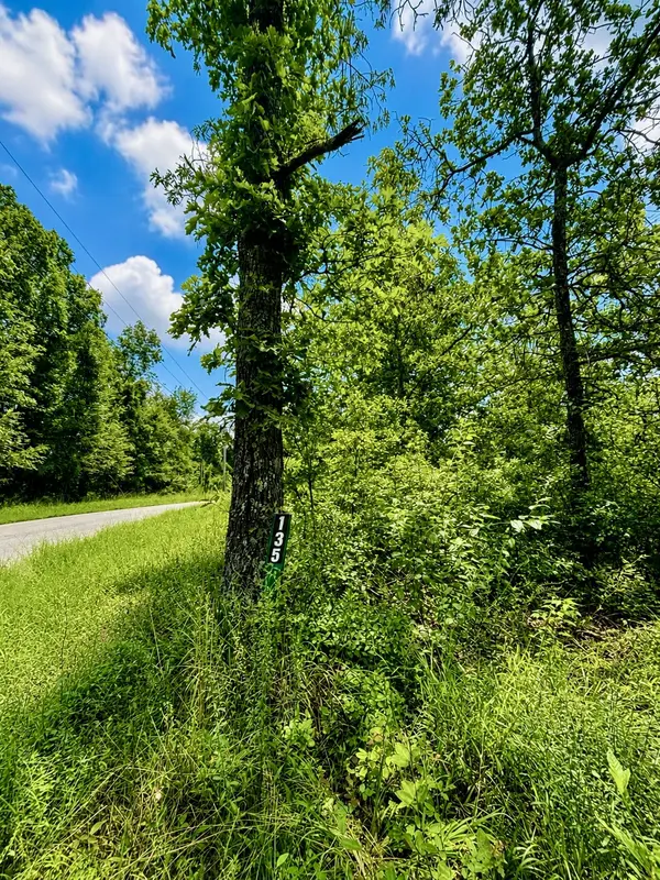 135 Old Hickory Dr, Holladay, TN 38341