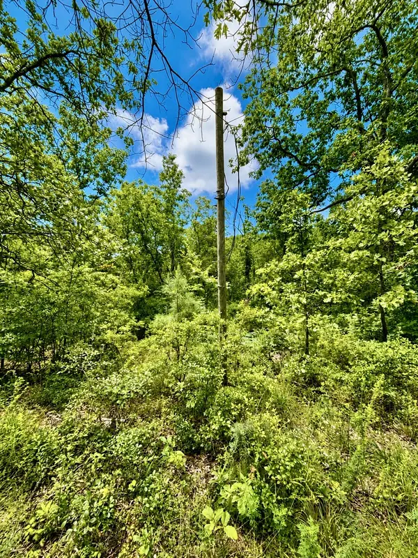 135 Old Hickory Dr, Holladay, TN 38341