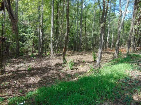0 Alexander Springs Rd, Ethridge, TN 38456