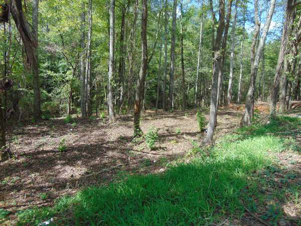 0 Alexander Springs Rd, Ethridge, TN 38456