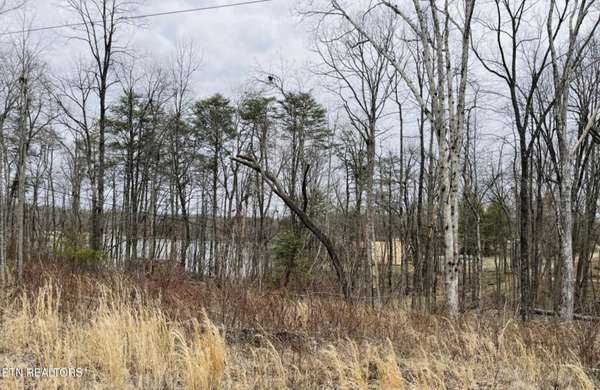 2345 Tresa St, Crossville, TN 38572