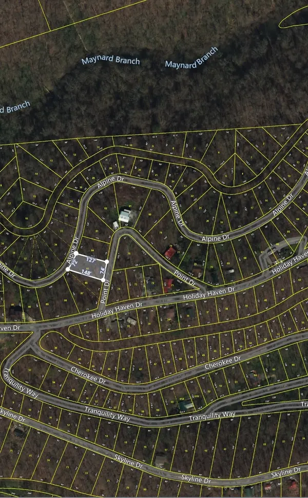 0 Alpine Dr, Smithville, TN 37166