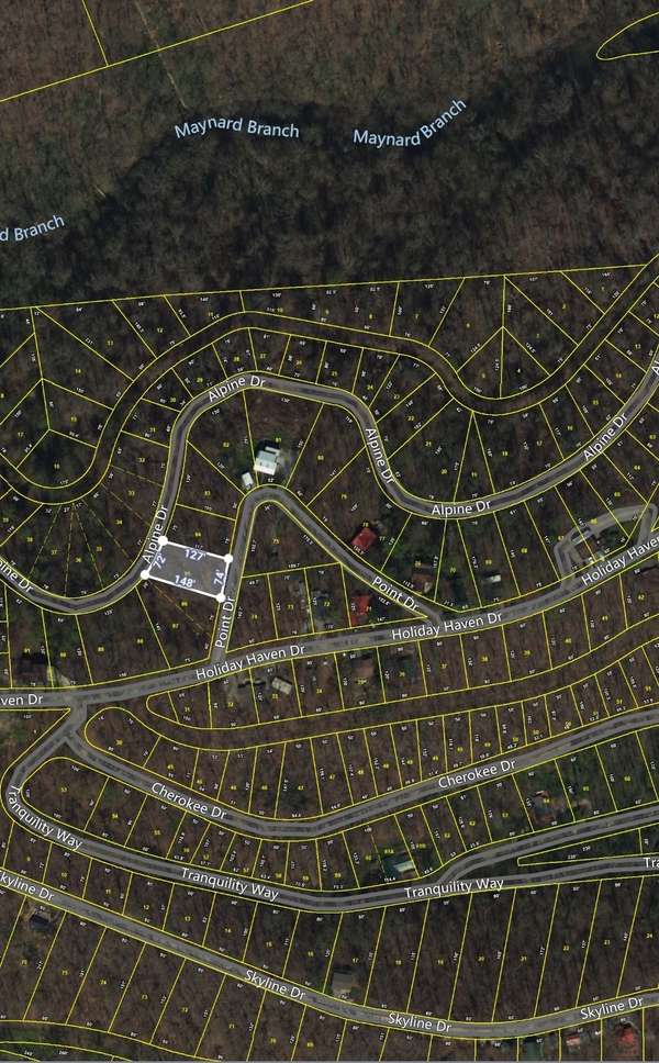 0 Alpine Dr, Smithville, TN 37166