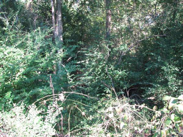 596 High St #E, Mc Ewen, TN 37101