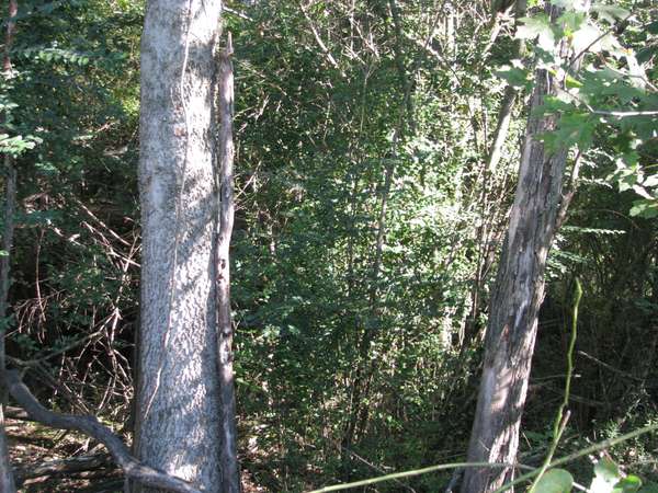 596 High St #E, Mc Ewen, TN 37101