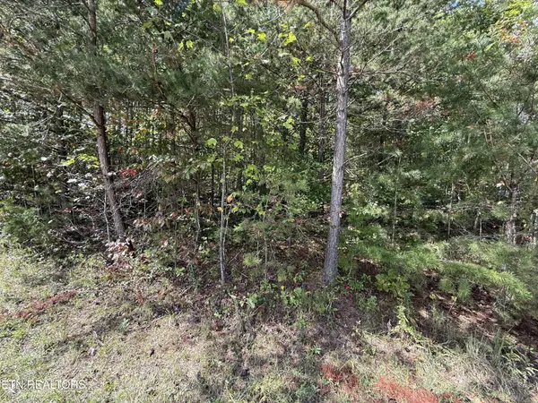 0 Northwood Place, Jamestown, TN 38556