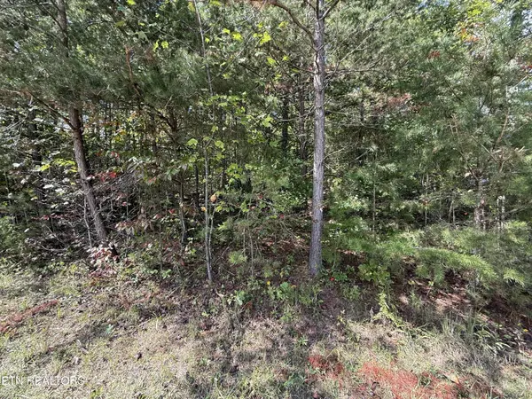 0 Northwood Place, Jamestown, TN 38556