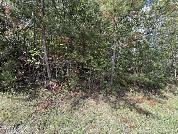 0 Northwood Place, Jamestown, TN 38556
