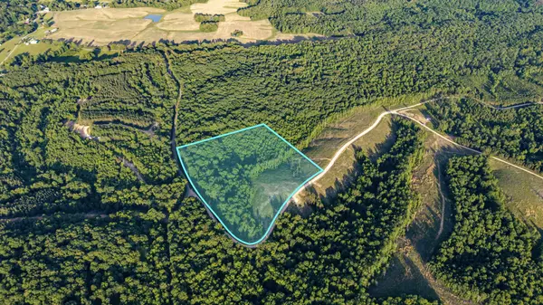 0 Cox Hollow, Dover, TN 37058