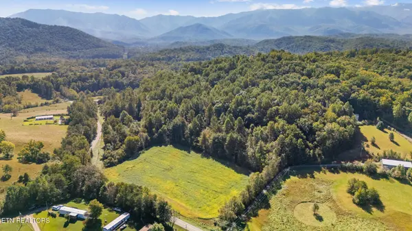 0 Jones Cove Rd, Cosby, TN 37722