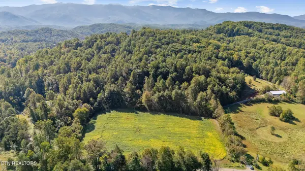 0 Jones Cove Rd, Cosby, TN 37722