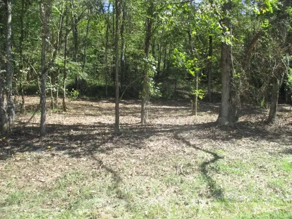 1141 REESE ROAD, Bethpage, TN 37022