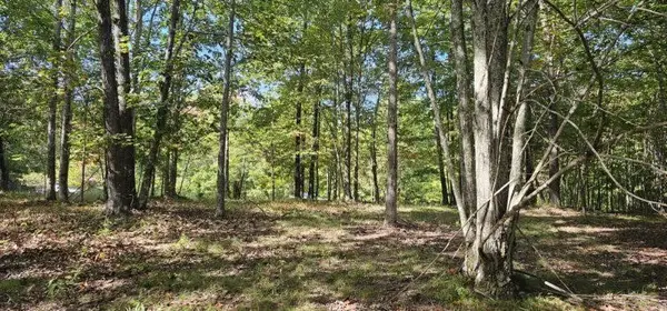 515 Wilderness Way, Dunlap, TN 37327