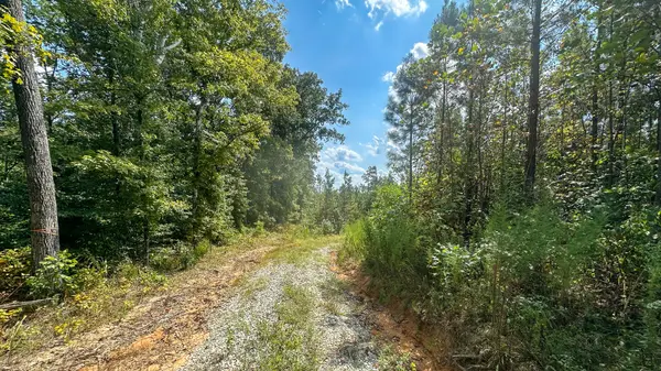0 Jeannette Holladay Rd, Parsons, TN 38363