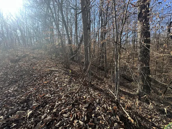 0 Highland Pl, Smithville, TN 37166