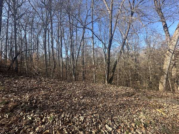 0 Highland Pl, Smithville, TN 37166