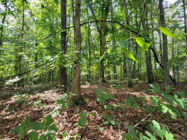 207 Saint George Dr, Crossville, TN 38558