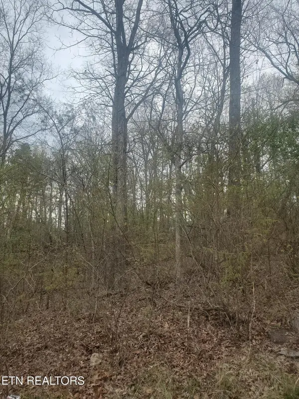 8646 Cherokee Tr, Crossville, TN 38572