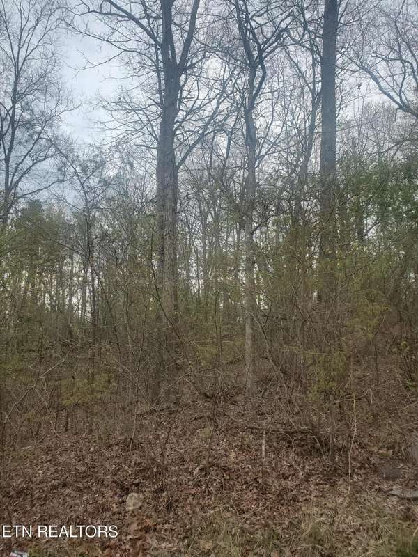 8646 Cherokee Tr, Crossville, TN 38572