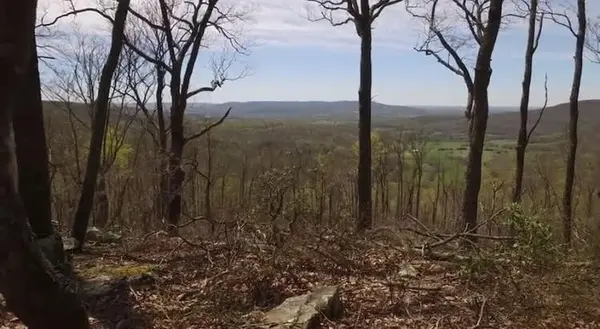 1071 Long Mountain Trail, Mcminnville, TN 37110
