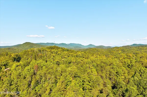 2462 Dogwood Loop Drive, Sevierville, TN 37876