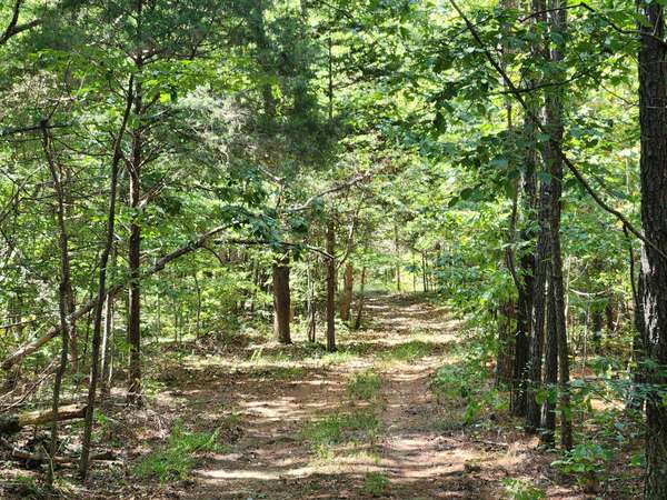 138 Vaughn Rd, Charlotte, TN 37036