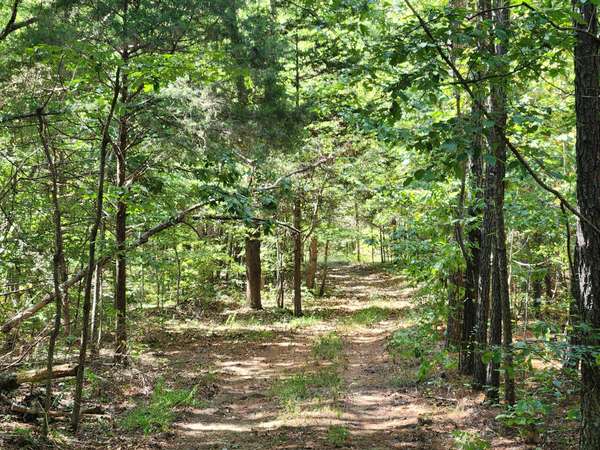 138 Vaughn Rd, Charlotte, TN 37036