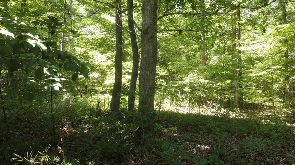 0 Camp Creek Rd, Spencer, TN 38585