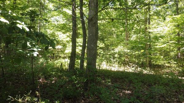 0 Camp Creek Rd, Spencer, TN 38585