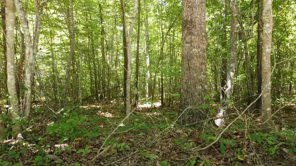 0 Camp Creek Rd, Spencer, TN 38585