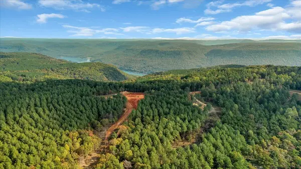 400 Treetop Street, Guild, TN 37340