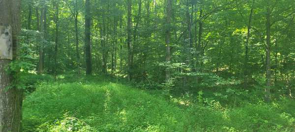 1 Terrapin Run Rd, Dover, TN 37058