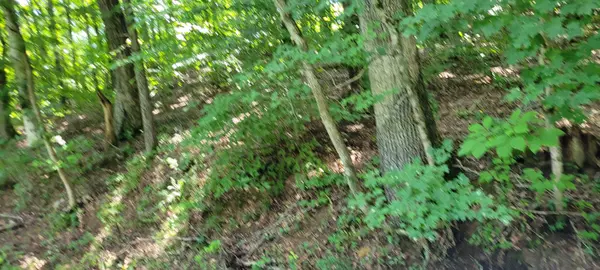 1 Terrapin Run Rd, Dover, TN 37058