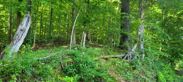 1 Terrapin Run Rd, Dover, TN 37058