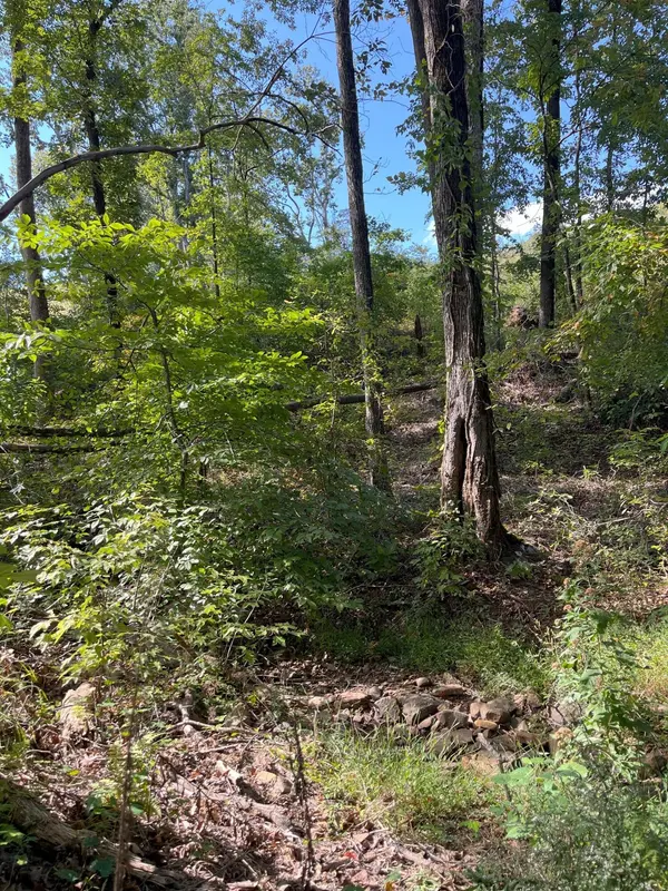 0 N Dug Gap Road, Dalton, GA 30720