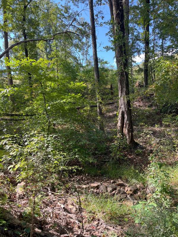 0 N Dug Gap Road, Dalton, GA 30720