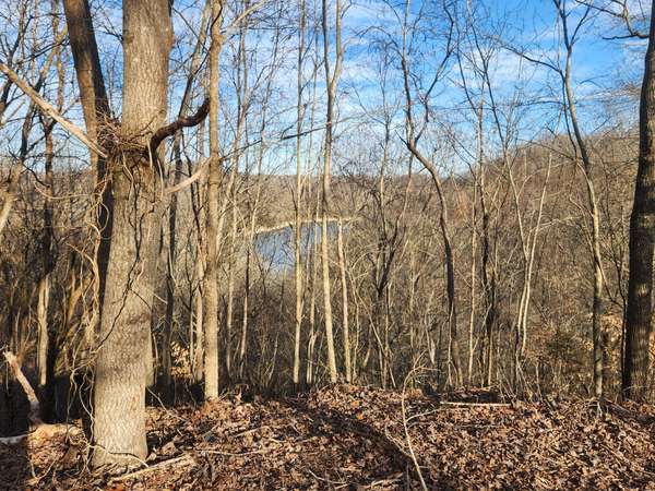 1 Antler Drive, Smithville, TN 37166