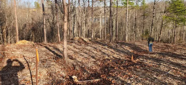 1 Antler Drive, Smithville, TN 37166