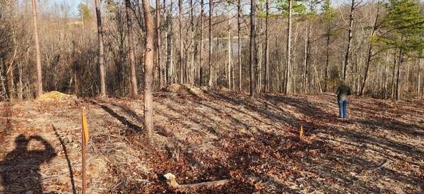 1 Antler Drive, Smithville, TN 37166