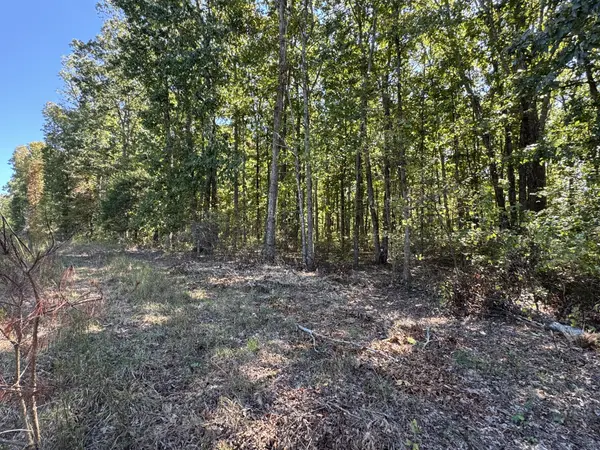 0 Hwy 100, Centerville, TN 37033
