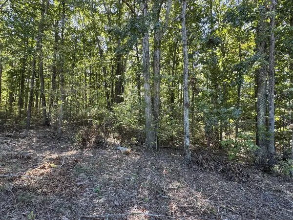0 Hwy 100, Centerville, TN 37033