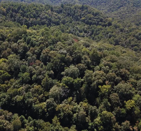 0 Swiper Dr, Smithville, TN 37166
