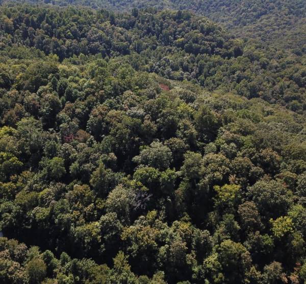 0 Swiper Dr, Smithville, TN 37166