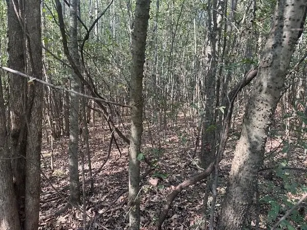 0 TOW BOAT LN, Adamsville, TN 38310