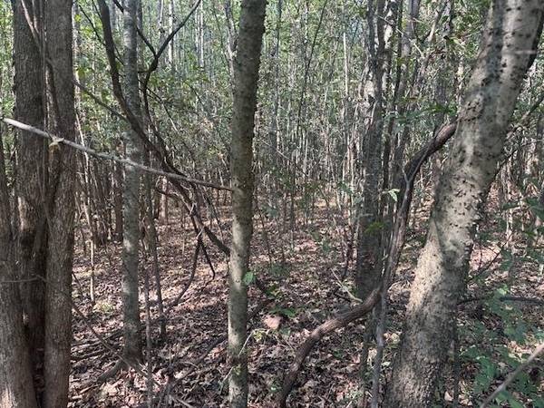 0 TOW BOAT LN, Adamsville, TN 38310