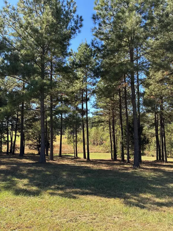 241 Pappy Road, Jasper, TN 37347