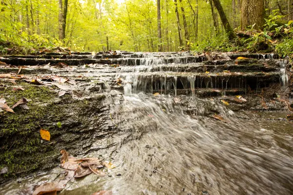 9062 Dry Creek Rd, Mount Pleasant, TN 38474