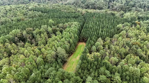 9062 Dry Creek Rd, Mount Pleasant, TN 38474