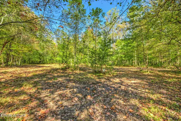 1446 Cove Lane, Oliver Springs, TN 37840